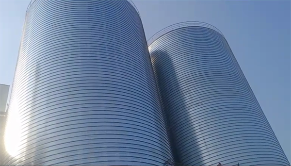 延川2座混凝土高架卷板仓